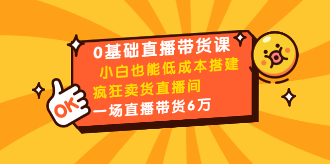 0基础直播带货课：小白也能低成本搭建疯狂卖货直播间：1场直播带货6万-汇智资源网