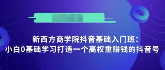 抖音基础入门班：小白0基础学习打造一个高权重赚钱的抖音号-汇智资源网