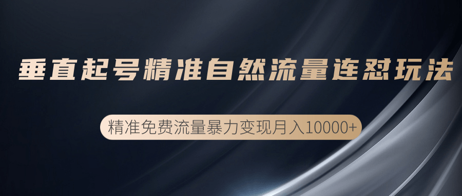 垂直起号精准自然流量连爆玩法，精准引流暴力变现月入10000+-汇智资源网