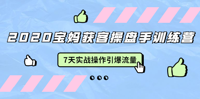 2020宝妈获客操盘手训练营：7天实战操作引爆 母婴、都市、购物宝妈流量-汇智资源网