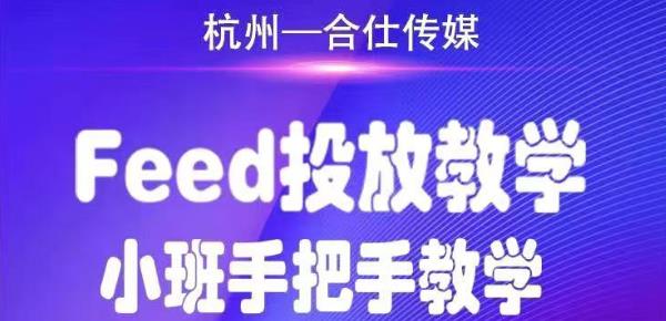 合仕传媒Feed投放教学，手把手教学，开车烧钱必须自己会-汇智资源网