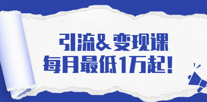 引流&变现课：分享一整套流量方法以及各个渠道收入，每月最低1万起！-汇智资源网