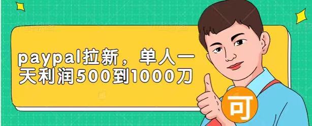 Paypal拉新赚美刀项目，单人一天利润500-1000刀【视频课程】-汇智资源网