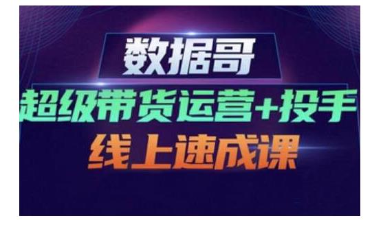 数据哥·超级带货运营+投手线上速成课，快速提升运营和熟悉学会投手技巧-汇智资源网