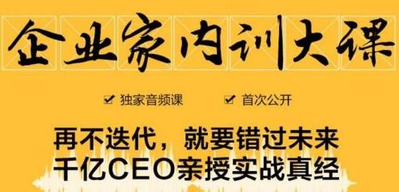 企业家内训大课，未来企业必学经验，价值1299元-汇智资源网