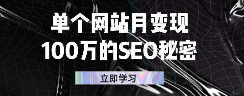 单个网站月变现100万的SEO秘密，百分百做出赚钱站点-汇智资源网