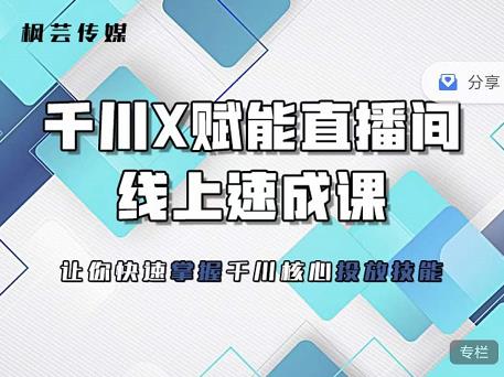 枫芸传媒-线上千川提升课，提升千川认知，提升千川投放效果-汇智资源网