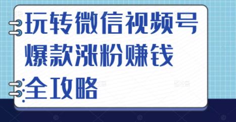 玩转微信视频号爆款涨粉赚钱全攻略，让你快速抓住流量风口，收获红利财富-汇智资源网