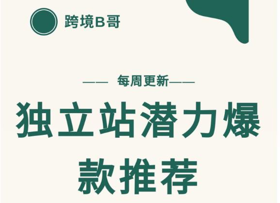 【跨境B哥】独立站潜力爆款选品推荐，测款出单率高达百分之80-汇智资源网