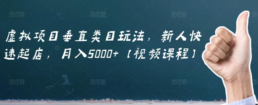 虚拟项目垂直类目玩法，新人快速起店，月入5000+【视频课程】-汇智资源网