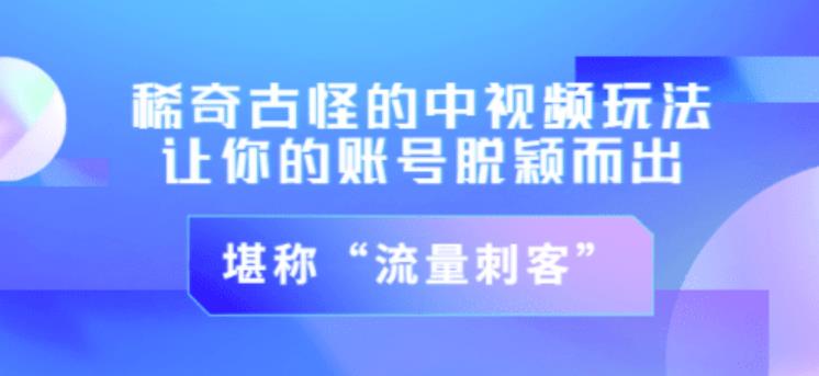 不讲李·稀奇古怪的冷门中视频冷门玩法，让你的账号脱颖而出，成为流量刺客！（图文+视频）-汇智资源网