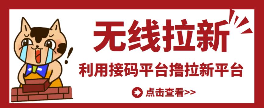 最新接码无限拉新项目，利用接码平台赚拉新平台差价，轻松日赚500+-汇智资源网