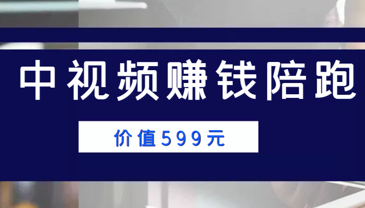 中视频赚钱陪跑，卖中视频账户赚钱收益陪跑项目（价值599元）-汇智资源网