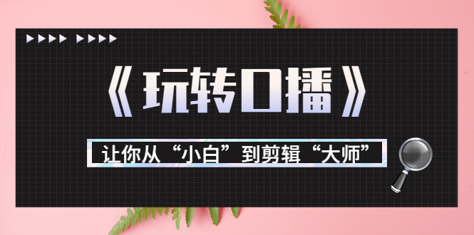 月营业额700万+大佬教您《玩转口播》让你从“小白”到剪辑“大师”-汇智资源网