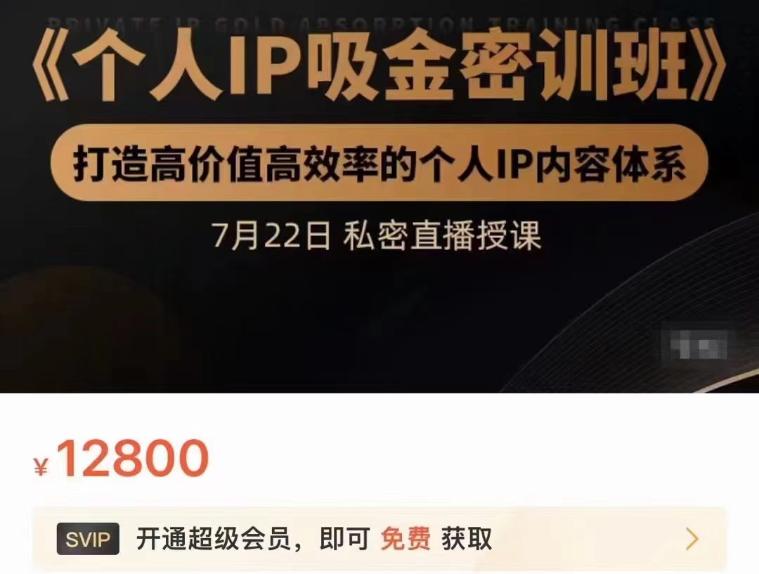 个人IP吸金密训班，打造高价值高效率的个人IP内容体系（价值12800元）-汇智资源网