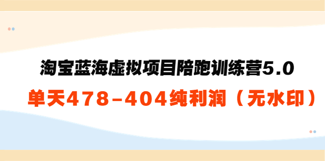 淘宝蓝海虚拟项目陪跑训练营5.0：单天478纯利润-汇智资源网