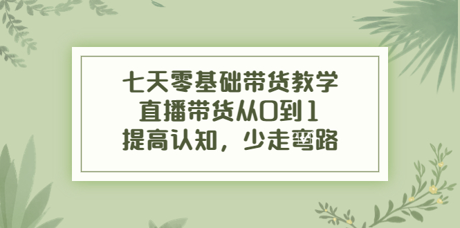 七天零基础带货教学，直播带货从0到1，提高认知，少走弯路-汇智资源网