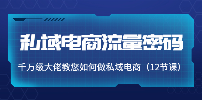 私域电商流量密码：千万级大佬教您如何做私域电商（12节课）-汇智资源网