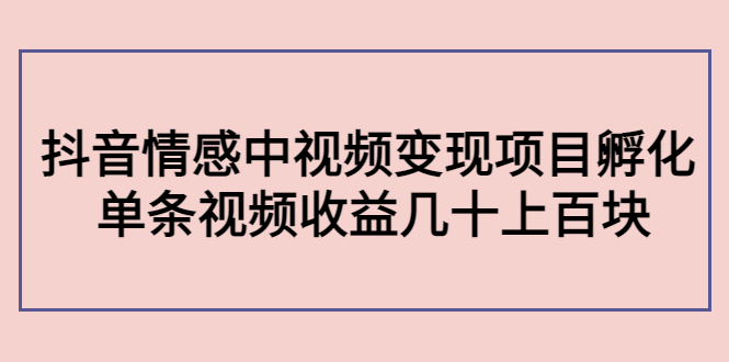 副业孵化营第5期：抖音情感中视频变现项目孵化 单条视频收益几十上百-汇智资源网