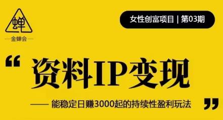 资料IP变现，能稳定日赚3000起的持续性盈利玩法-汇智资源网