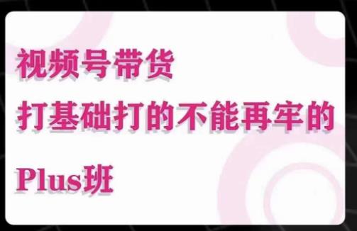 大播汇·视频号带货Puls班，视频号底层逻辑，起号自然流鱼塘等玩法-汇智资源网