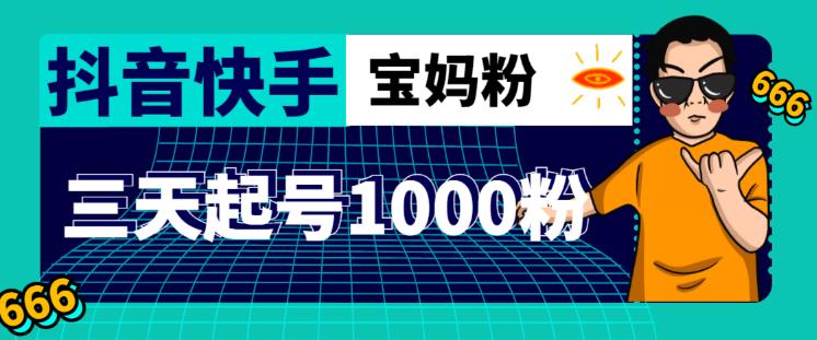 抖音快手三天起号涨粉1000宝妈粉丝的核心方法【详细玩法教程】-汇智资源网