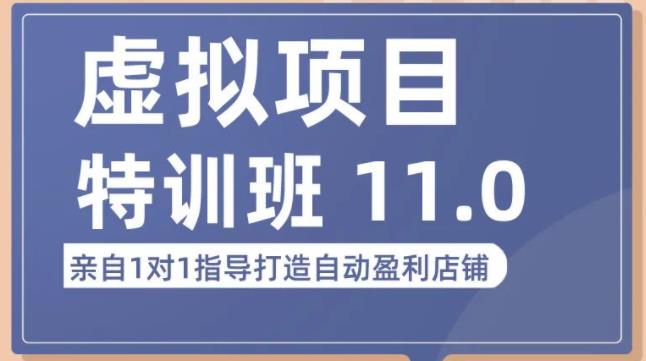 陆明明·虚拟项目特训班（10.0+11.0），0成本获取虚拟素材，0基础打造自动盈利店铺-汇智资源网