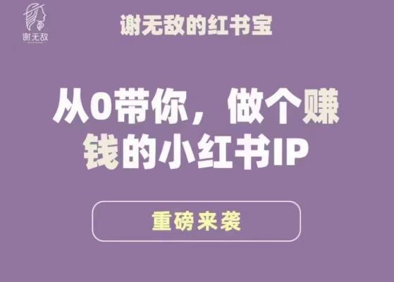 谢无敌·小红书运营大宝典，从0带你做个赚钱的小红书IP-汇智资源网