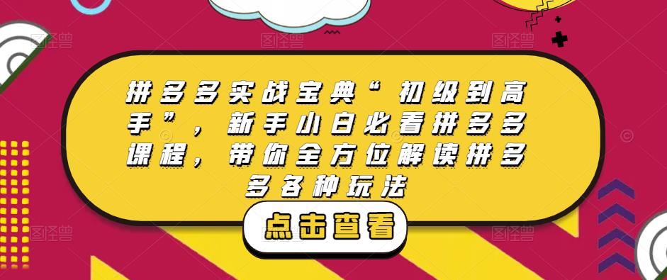 拼多多实战宝典“初级到高手”，新手小白必看拼多多课程，带你全方位解读拼多多各种玩法-汇智资源网