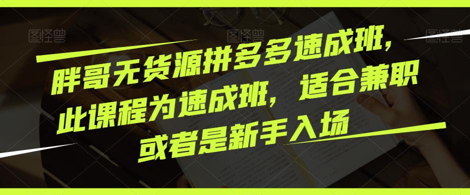 胖哥无货源拼多多速成班，此课程为速成班，适合兼职或者是新手入场-汇智资源网