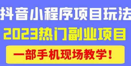 抖音小程序9.0新技巧，2023热门副业项目，动动手指轻松变现-汇智资源网