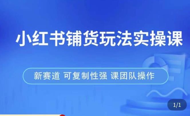 小红书铺货玩法实操课，流量大，竞争小，非常好做，新赛道，可复制性强，可团队操作-汇智资源网