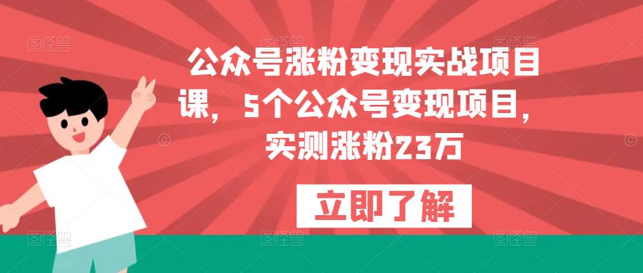 公众号涨粉变现实战项目课，5个公众号变现项目，实测涨粉23万-汇智资源网