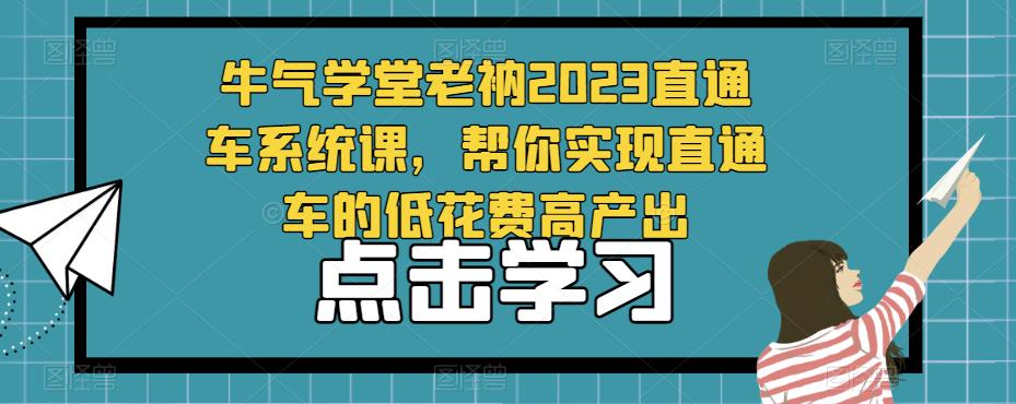 牛气学堂老衲2023直通车系统课，帮你实现直通车的低花费高产出-汇智资源网