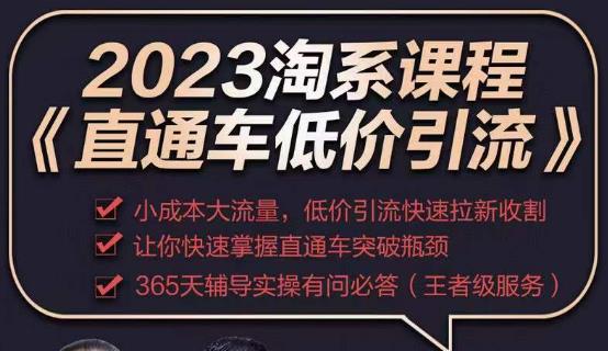 2023直通车低价引流玩法课程，小成本大流量，低价引流快速拉新收割，让你快速掌握直通车突破瓶颈-汇智资源网