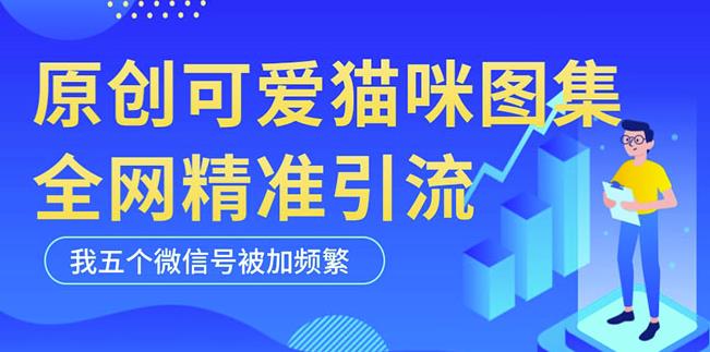 黑科技纯原创可爱猫咪图片，全网精准引流，实操5个VX号被加频繁-汇智资源网