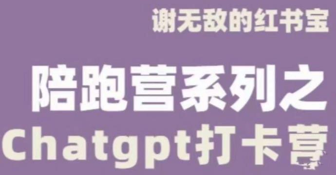 谢无敌ChatGPT打卡营，教你更好地使用ChatGPT来提高工作效率-汇智资源网