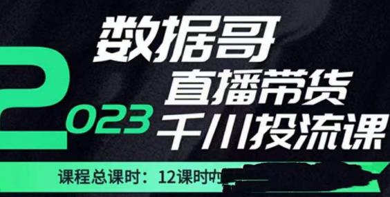 数据哥2023直播电商巨量千川付费投流实操课，快速掌握直播带货运营投放策略-汇智资源网