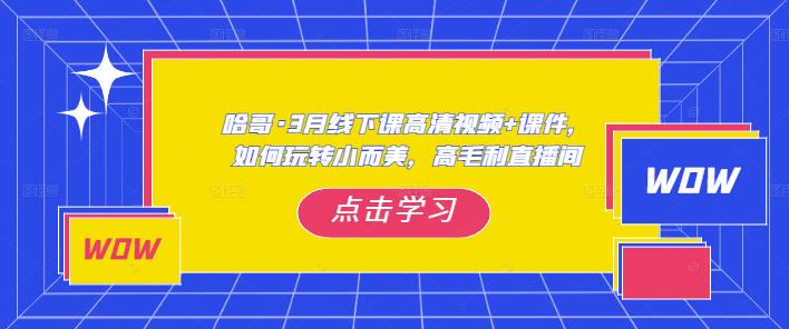 哈哥·3月线下实操课高清视频+课件，如何玩转小而美，高毛利直播间-汇智资源网