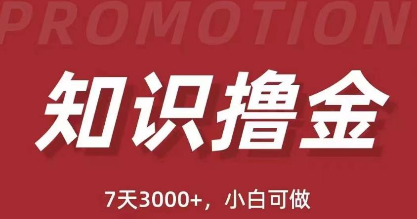 抖音知识撸金项目：简单粗暴日入1000+执行力强当天见收益(教程+资料)-汇智资源网