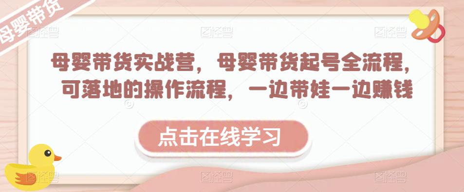 母婴带货实战营，母婴带货起号全流程，可落地的操作流程，一边带娃一边赚钱（附素材）-汇智资源网