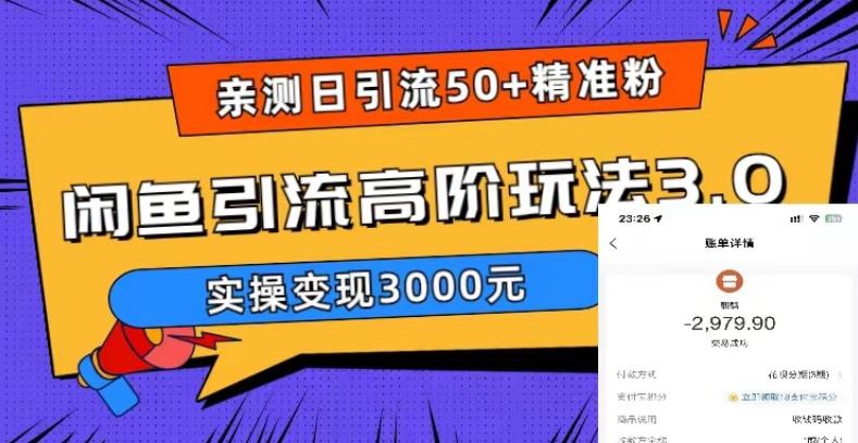 亲测日引50+精准粉，闲鱼引流高阶玩法3.0，实操变现3000元【揭秘】-汇智资源网