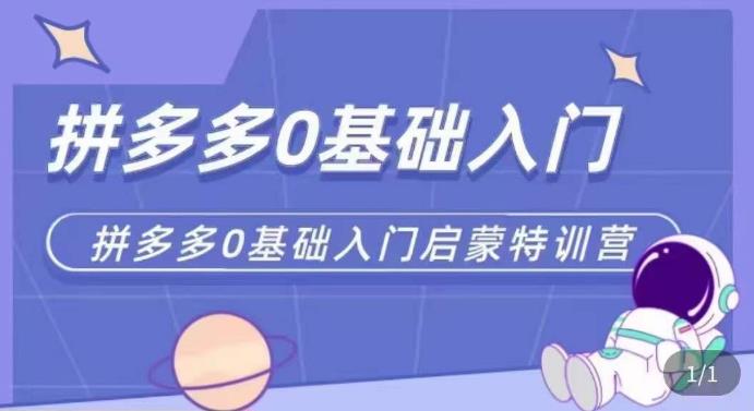 拼多多运营0-1实操特训营，拼多多0基础入门，从基础到进阶的可实操玩法-汇智资源网