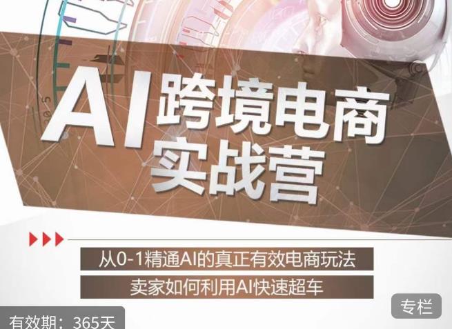 白龙老师·AI跨境电商实战营：从0-1精通Al的真正有效电商玩法，卖家如何利用Al快速超车-汇智资源网