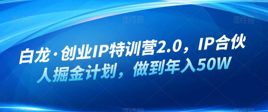 白龙·创业IP特训营2.0，IP合伙人掘金计划，做到年入50W-汇智资源网