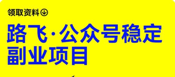 路飞·公众号稳定副业项目，你只要无脑去推广，粉丝和收入，自然就来了-汇智资源网