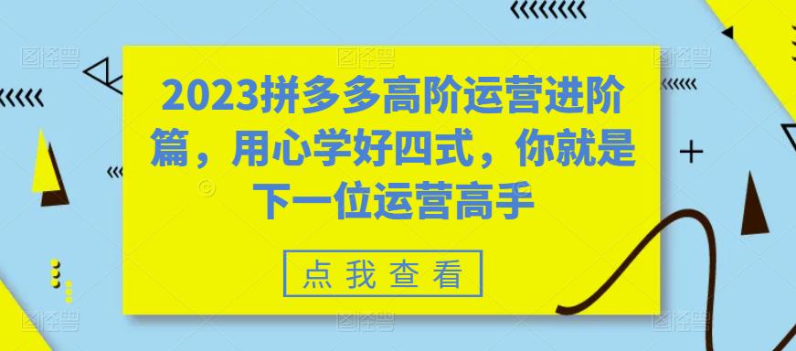 2023拼多多高阶运营进阶篇，用心学好四式，你就是下一位运营高手-汇智资源网