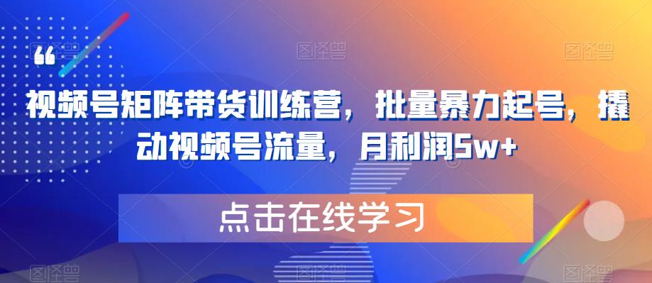 视频号矩阵带货训练营，批量暴力起号，撬动视频号流量，月利润5w+-汇智资源网