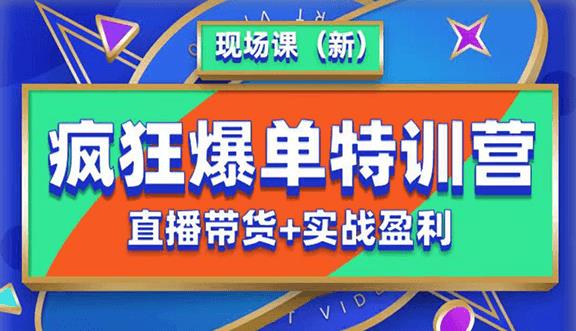 抖音短视频疯狂爆单特训营现场课（新）直播带货+实战案例-汇智资源网