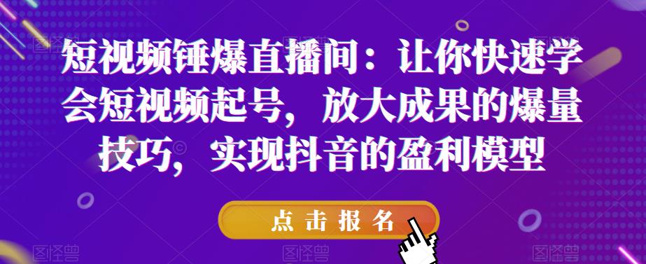 短视频锤爆直播间：让你快速学会短视频起号，放大成果的爆量技巧，实现抖音的盈利模型-汇智资源网